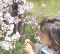 日進塾のニュースレター2025